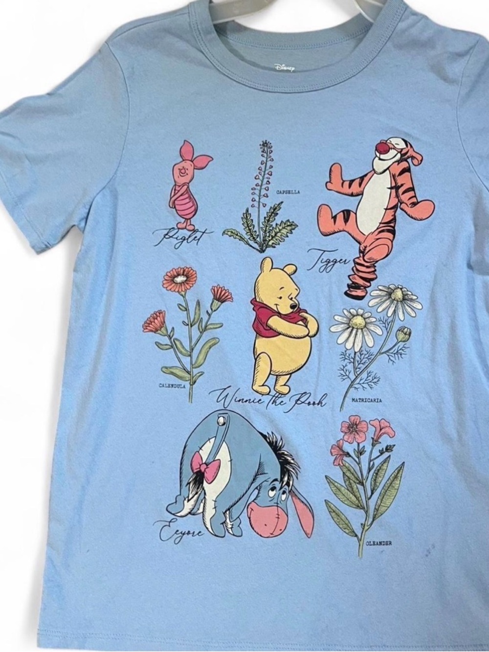 Disney Light Blue Winnie the Pooh & Friends Floral Graphic Tee